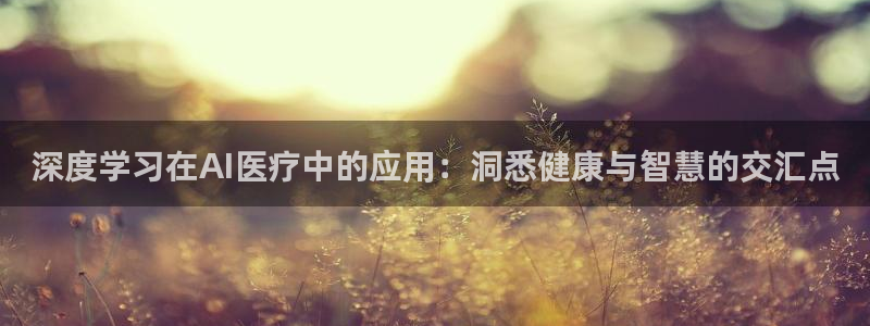 深度学习在AI医疗中的应用：洞悉健康与智慧的交汇点