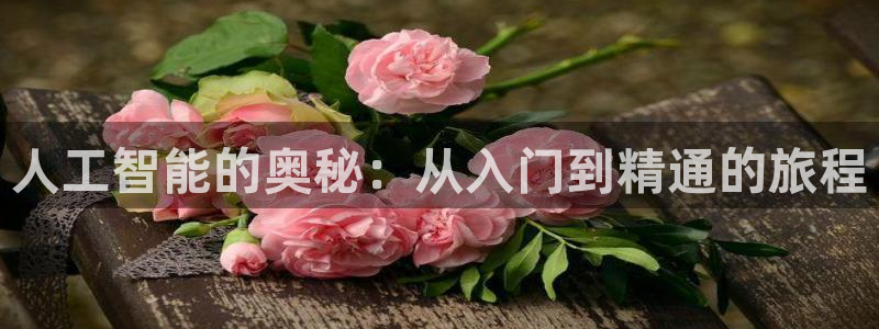 人工智能的奥秘：从入门到精通的旅程