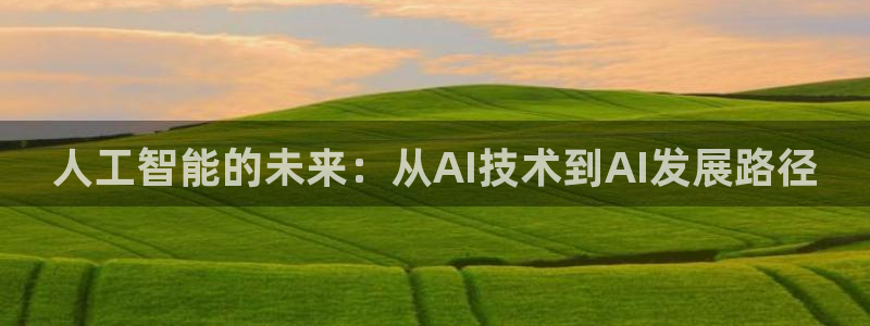 人工智能的未来：从AI技术到AI发展路径