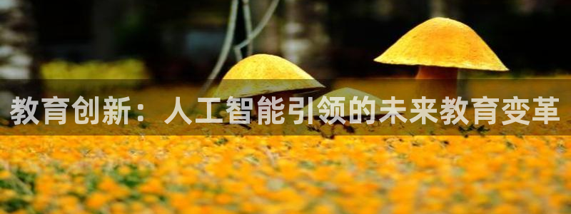 教育创新：人工智能引领的未来教育变革