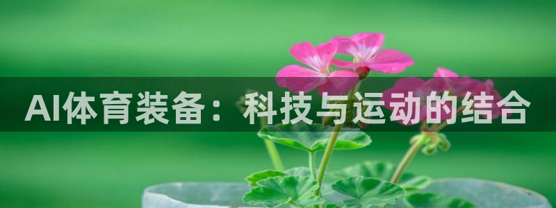 AI体育装备：科技与运动的结合