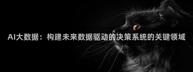 AI大数据：构建未来数据驱动的决策系统的关键领域