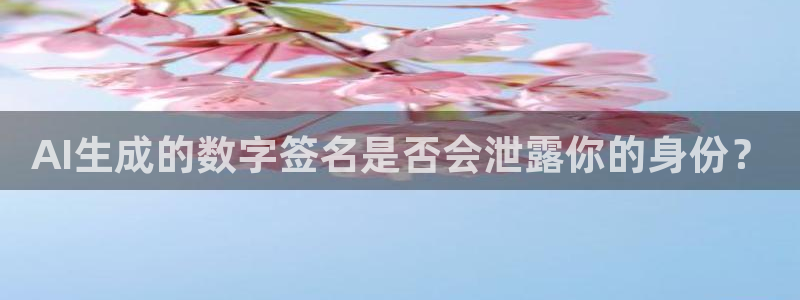 AI生成的数字签名是否会泄露你的身份？