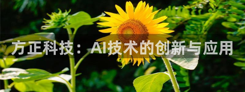 方正科技：AI技术的创新与应用