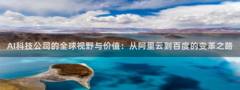 AI科技公司的全球视野与价值：从阿里云到百度的变革之路