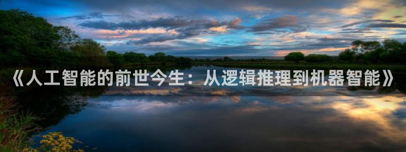 《人工智能的前世今生：从逻辑推理到机器智能》