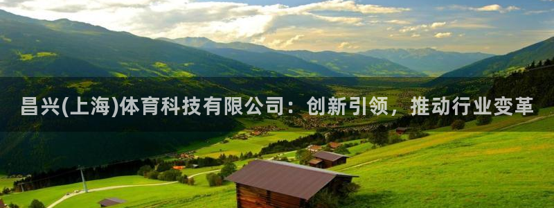 昌兴(上海)体育科技有限公司：创新引领，推动行业变革