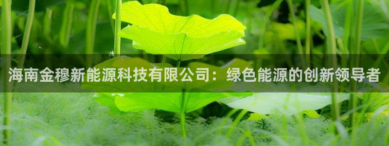 海南金穆新能源科技有限公司：绿色能源的创新领导者