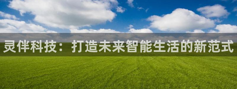 灵伴科技：打造未来智能生活的新范式
