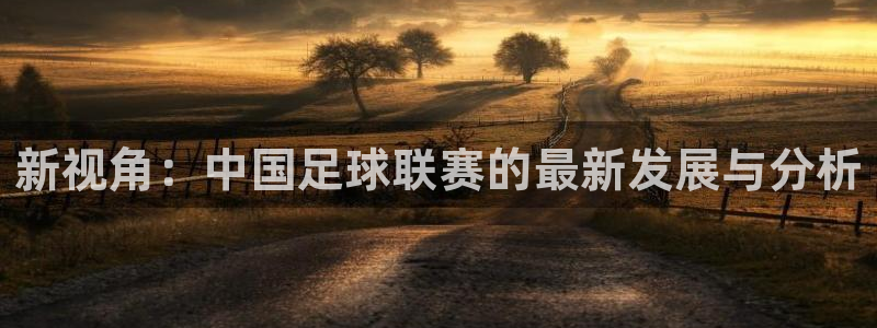 新视角：中国足球联赛的最新发展与分析