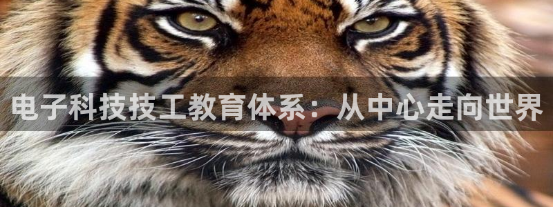 电子科技技工教育体系：从中心走向世界