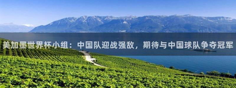 美加墨世界杯小组：中国队迎战强敌，期待与中国球队争夺冠军