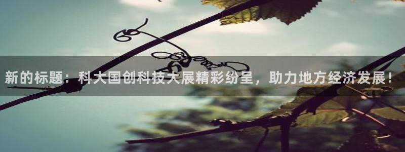 新的标题：科大国创科技大展精彩纷呈，助力地方经济发展！