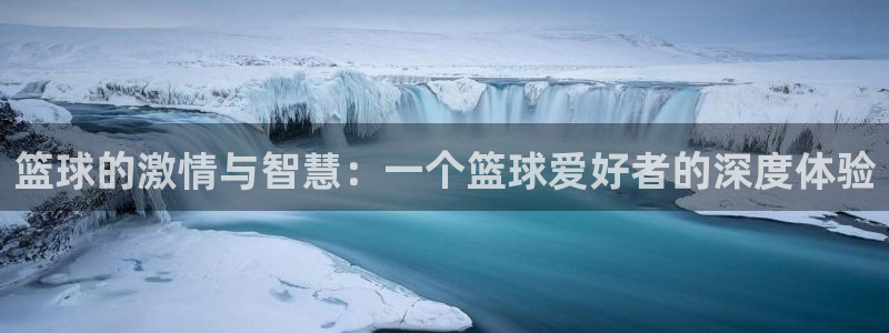篮球的激情与智慧：一个篮球爱好者的深度体验