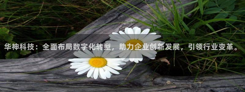华神科技：全面布局数字化转型，助力企业创新发展，引领行业变革。