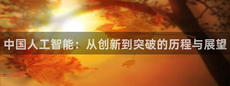 中国人工智能：从创新到突破的历程与展望