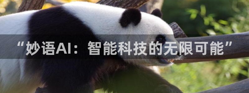 “妙语AI：智能科技的无限可能”