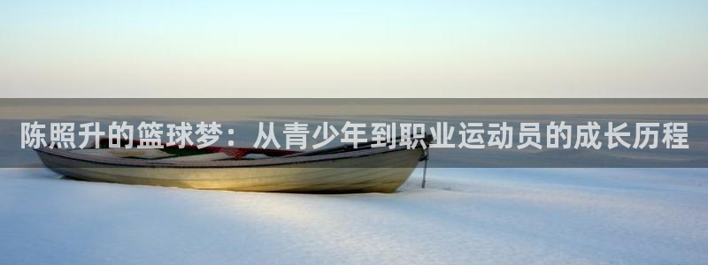 陈照升的篮球梦：从青少年到职业运动员的成长历程