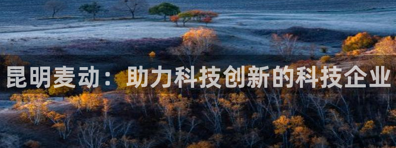 昆明麦动：助力科技创新的科技企业