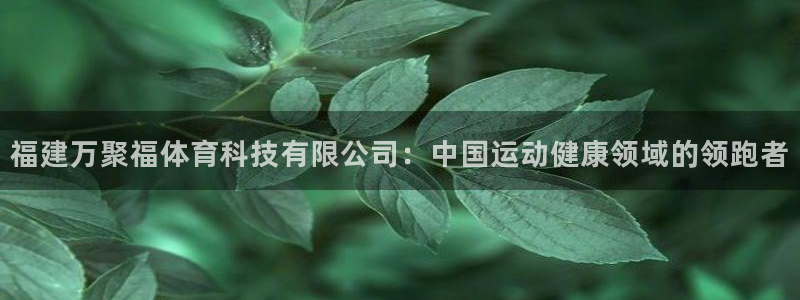 福建万聚福体育科技有限公司：中国运动健康领域的领跑者