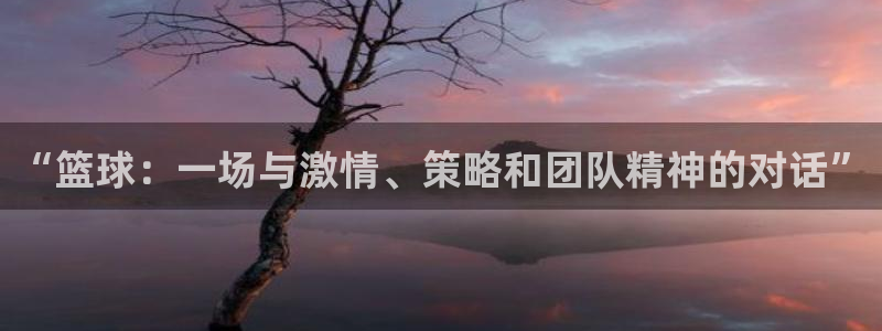 “篮球：一场与激情、策略和团队精神的对话”