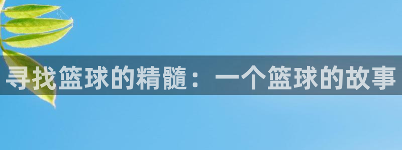 寻找篮球的精髓：一个篮球的故事